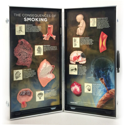 Models & Displays – GASP